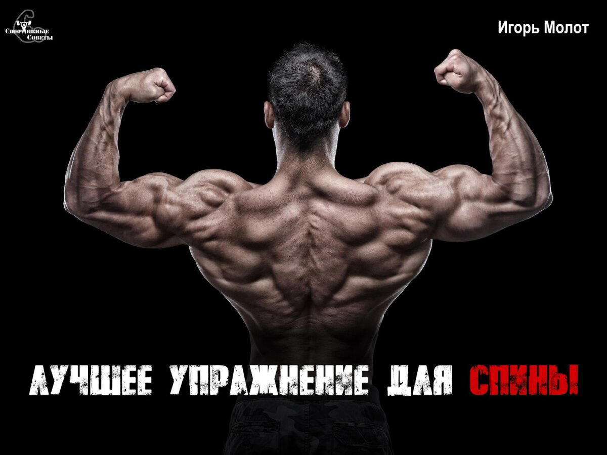 Лучшее упражнение для спины