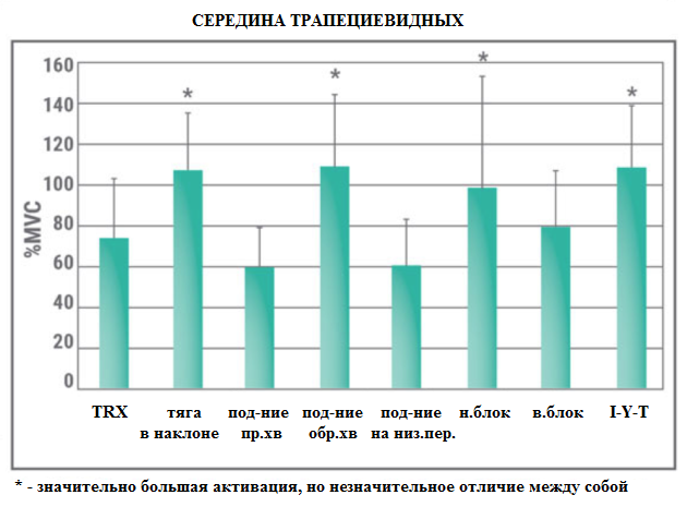 Лучшее упражнение для спины