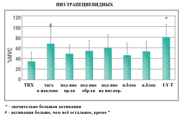 Лучшее упражнение для спины