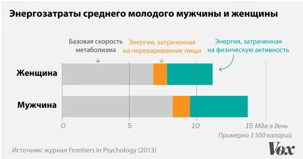Всё, что нужно знать о метаболизме
