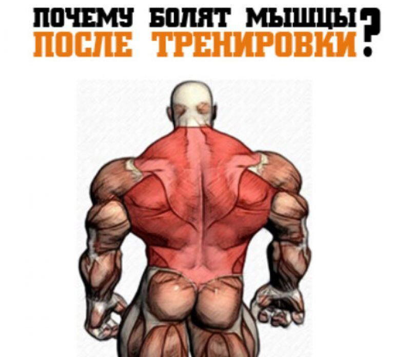 Является ли боль в мышцах показателем хорошей тренировки?