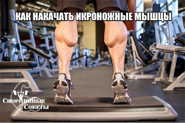 Как накачать икроножные мышцы