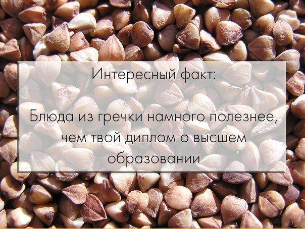 Как правильно взвешивать крупы и мясо для подсчета калорий