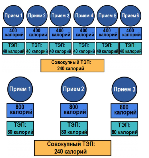 Как работают диетические мифы