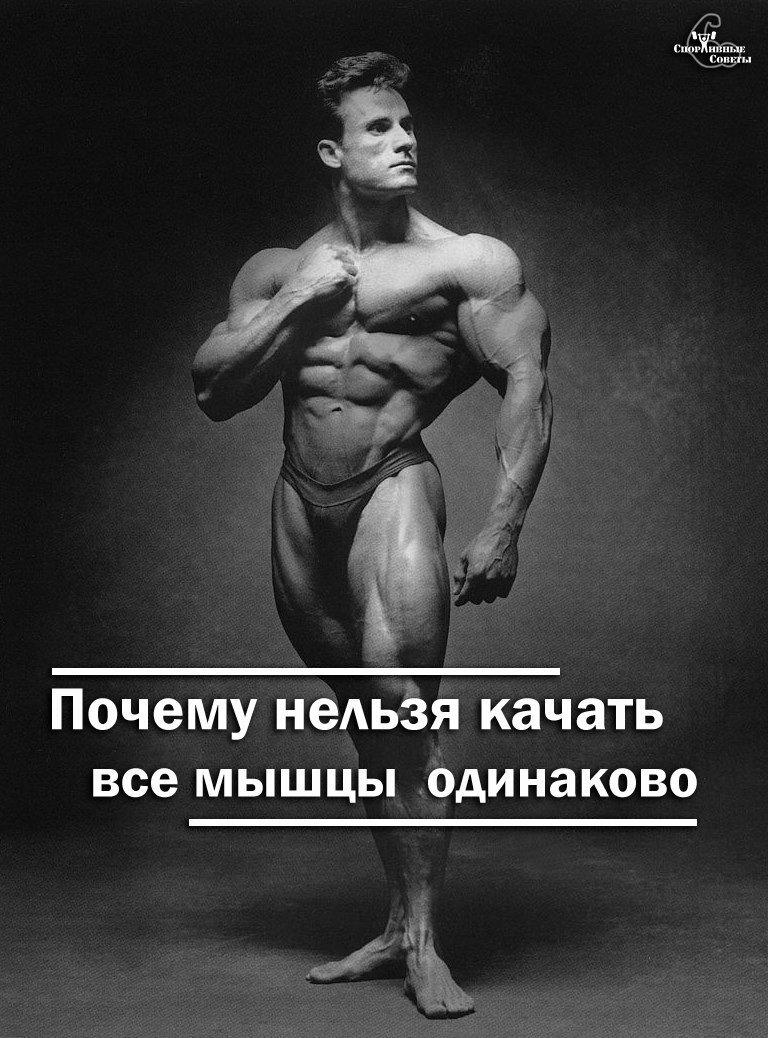 Почему нельзя все мышцы качать одинаково