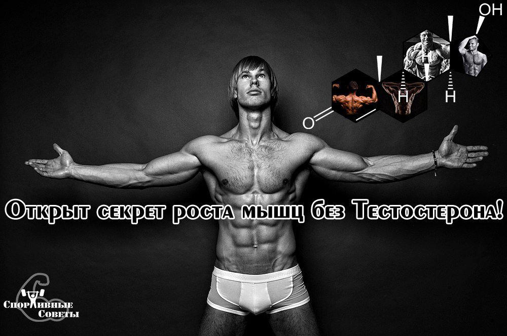 Открыт секрет роста мышц без тестостерона!