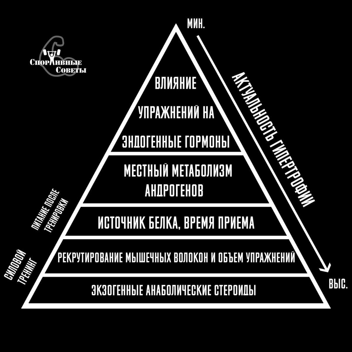 Открыт секрет роста мышц без тестостерона!