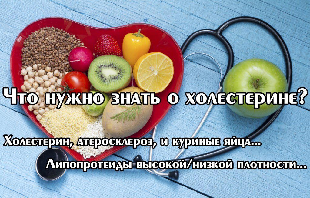 Холестерин, атеросклероз, и куриные яйца