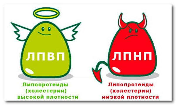 Холестерин, атеросклероз, и куриные яйца