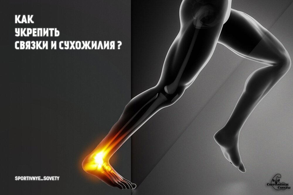 Как укрепить связки и сухожилия