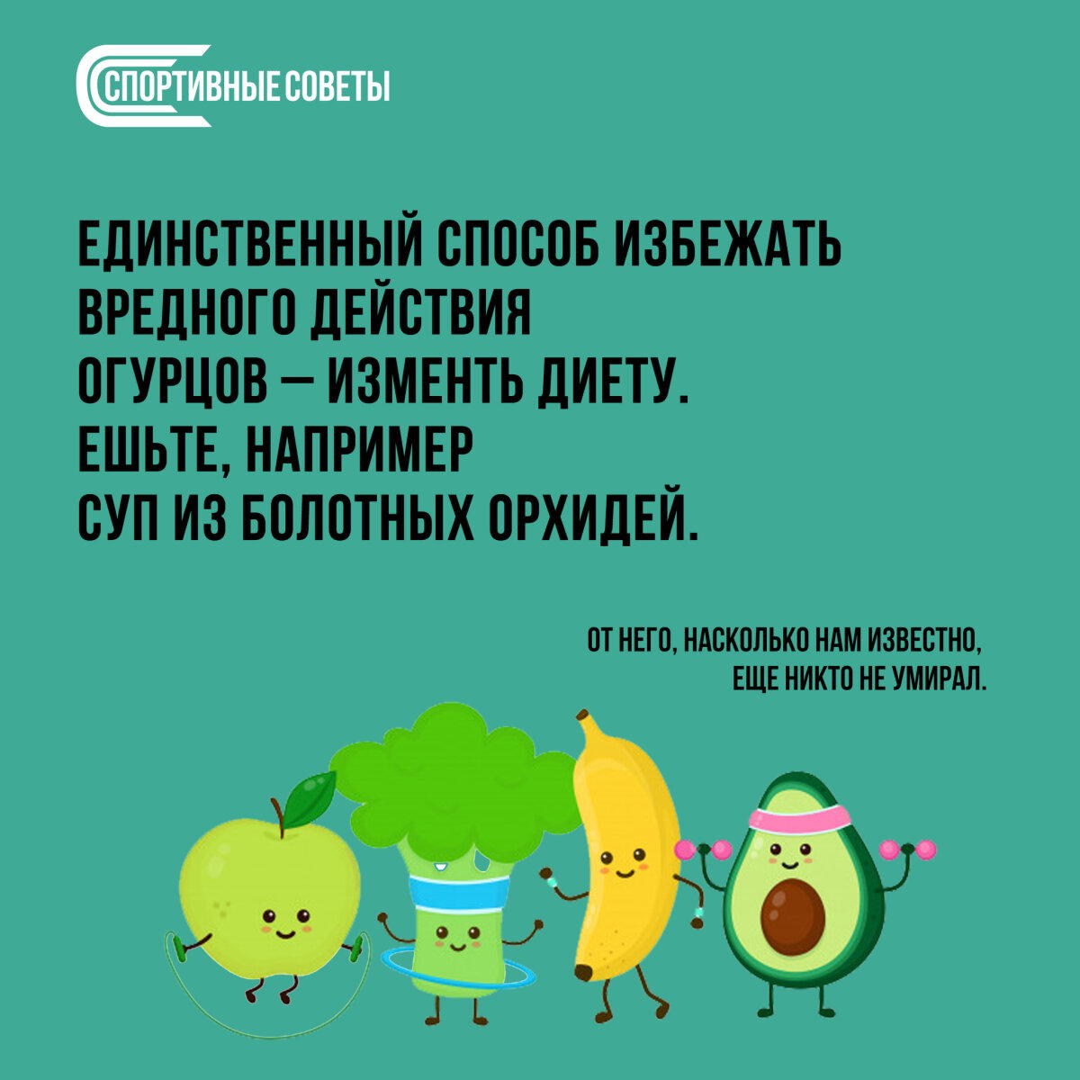 Любая еда неизбежно ведёт к смерти!