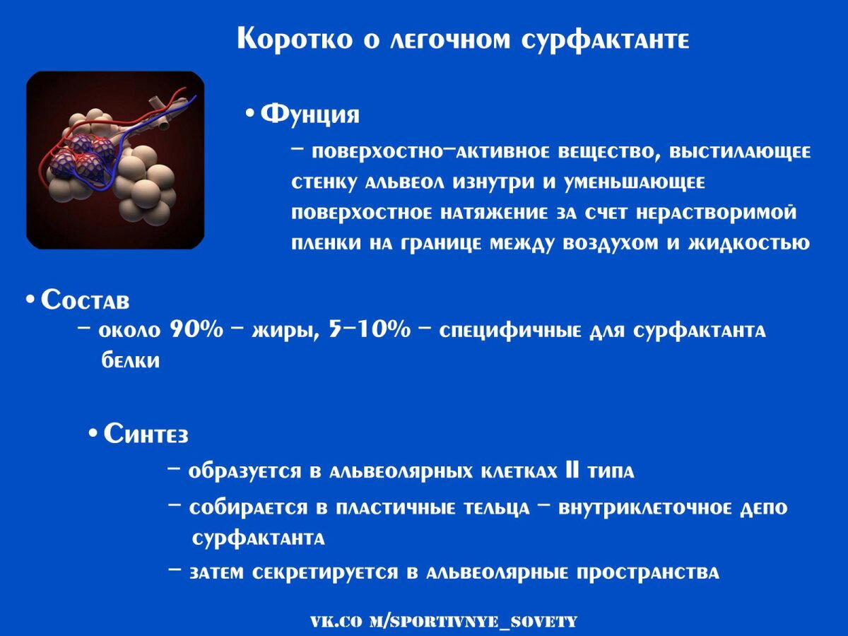 Жиры – хорошо или плохо? Вся правда