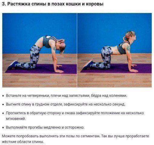 Упражнения для спины и красивой осанки