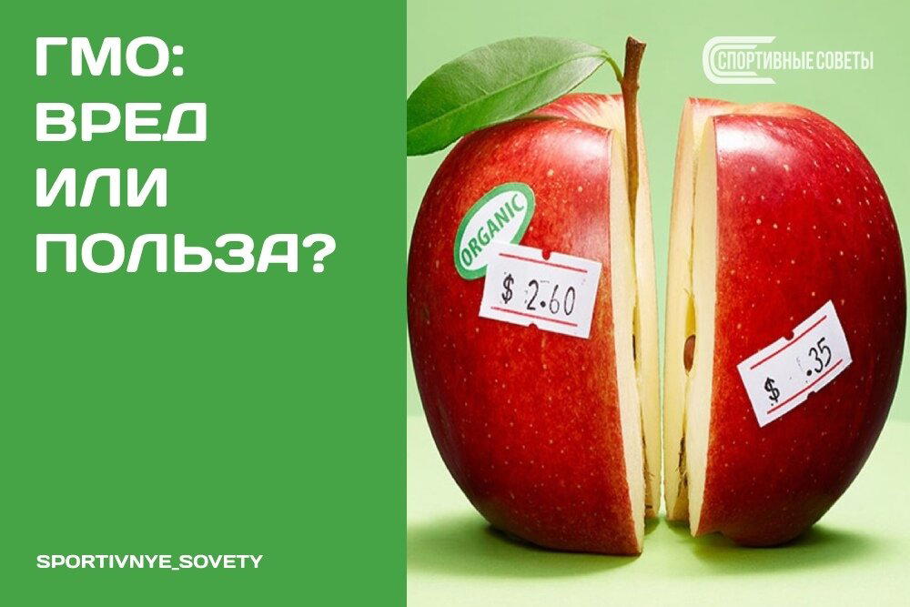 ГМО: вред или польза?