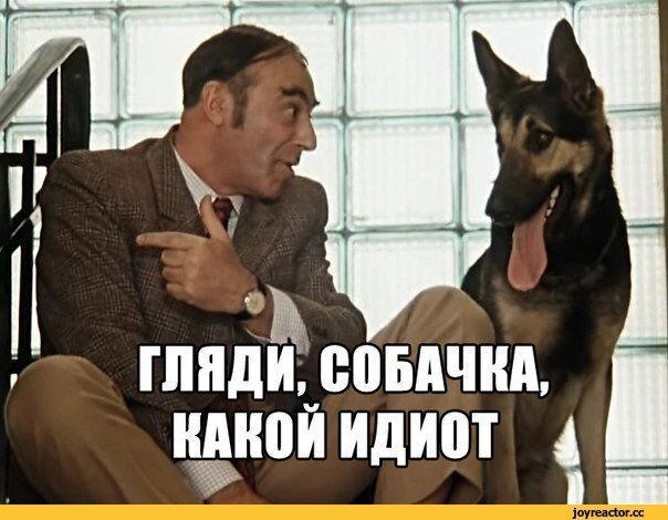 Докажи, что не верблюд