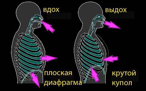Вред и польза силовых тренировок