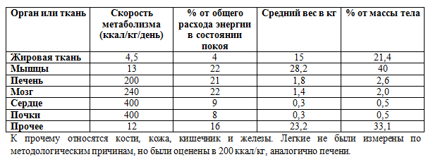 Силовые тренировки для похудения