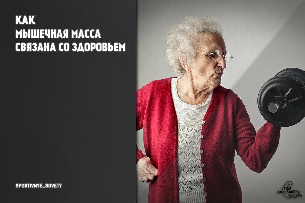 Как мышечная масса связана со здоровьем