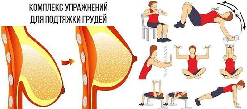 Лучший пост о сиськах Или упражнения для круглой подтянутой груди