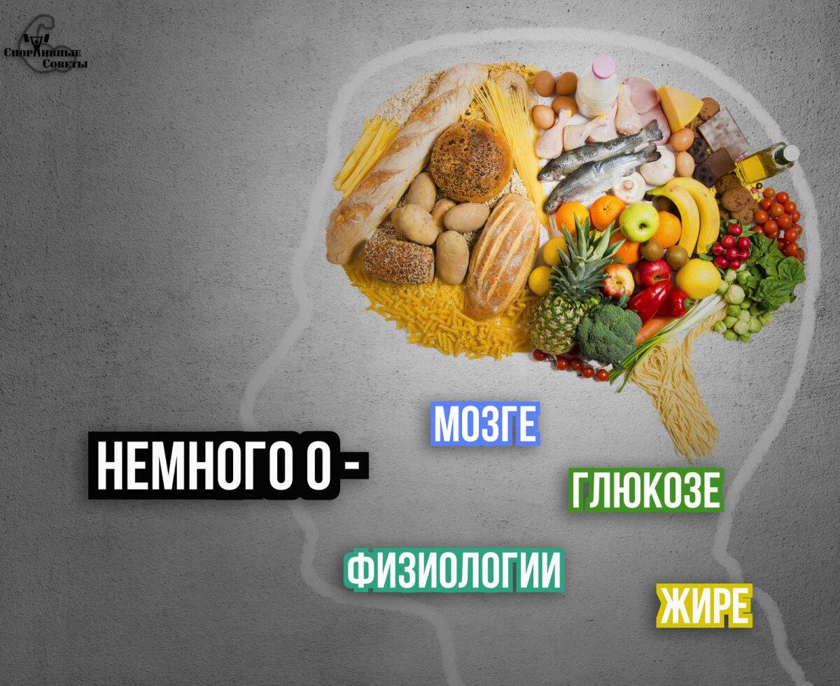 Немного о физиологии, глюкозе, мозге и жире