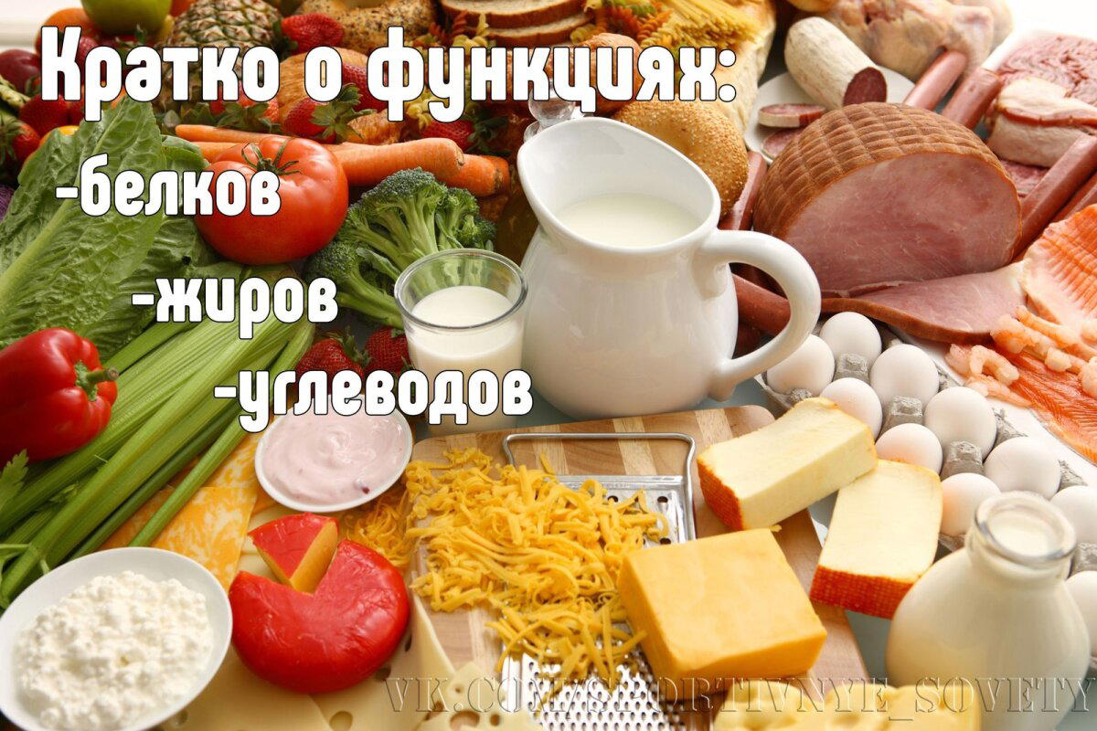 Кратко о функциях белков, жиров и углеводов. Или глупость при приеме BCAA