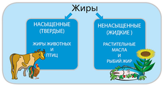 Кратко о функциях белков, жиров и углеводов. Или глупость при приеме BCAA