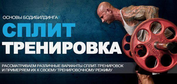 Split против Full Body, или как лучше тренироваться