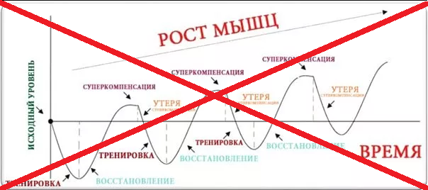 Суперкомпенсация или коротко о том, как растут мышцы. Оказывается, нам врали…