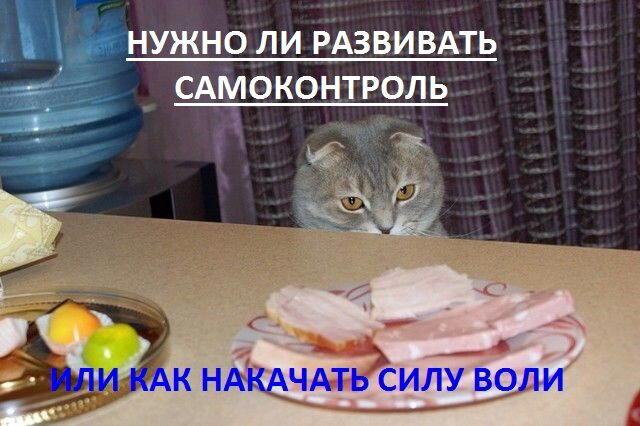 Нужно ли развивать самоконтроль или как накачать силу воли