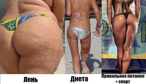 Как же все-таки похудеть?