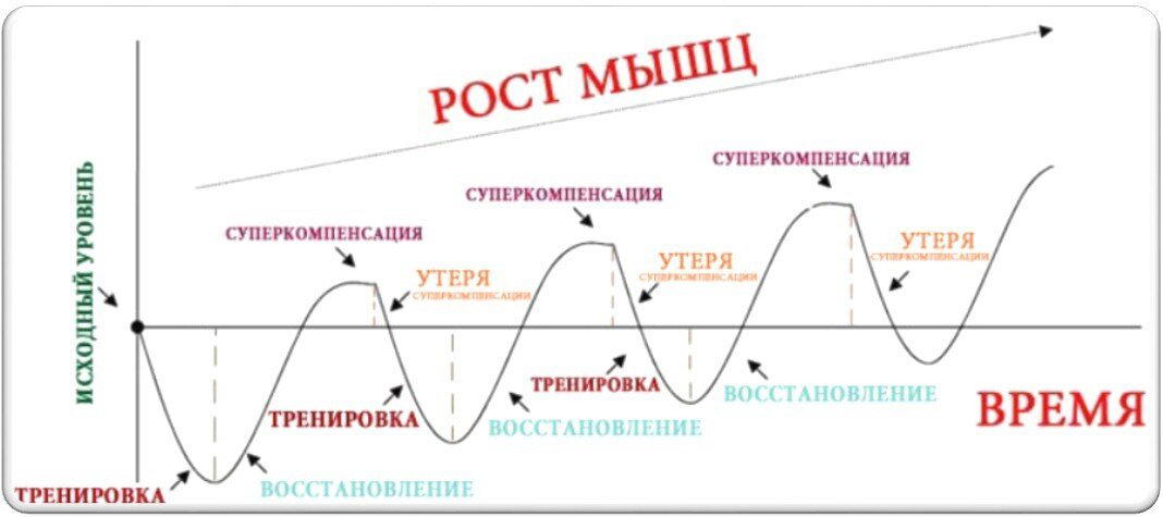 Суперкомпенсация