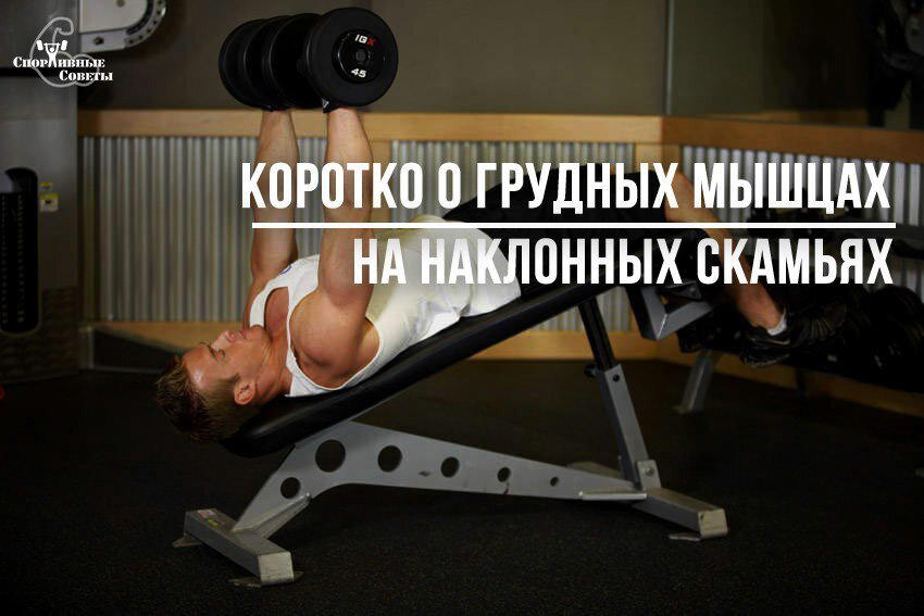 Коротко о грудных мышцах на наклонных скамьях