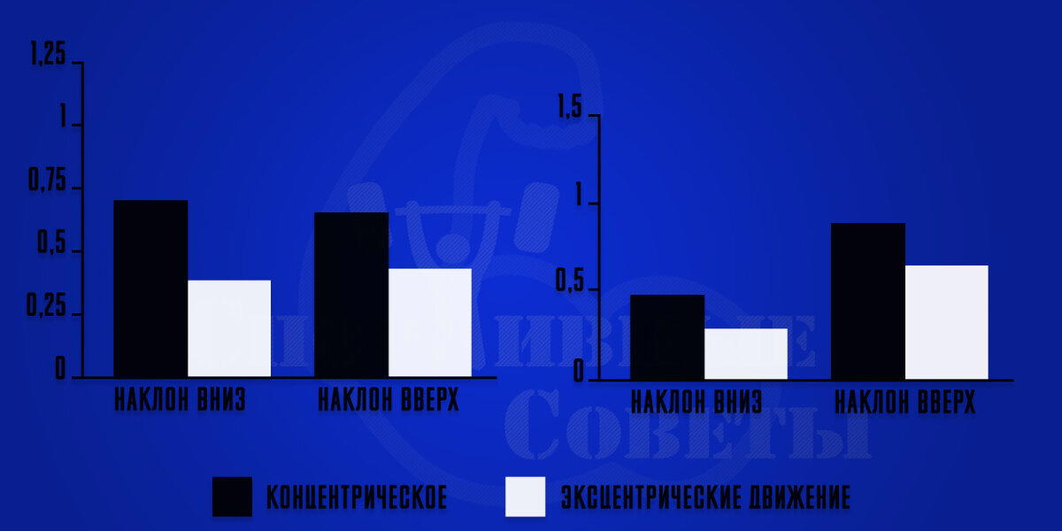Коротко о грудных мышцах на наклонных скамьях