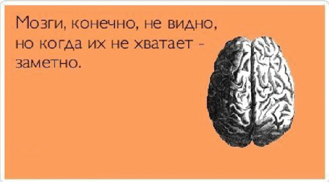 Является ли жир предпочтительным источником энергии?