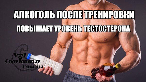 Алкоголь после тренировки повышает уровень тестостерона