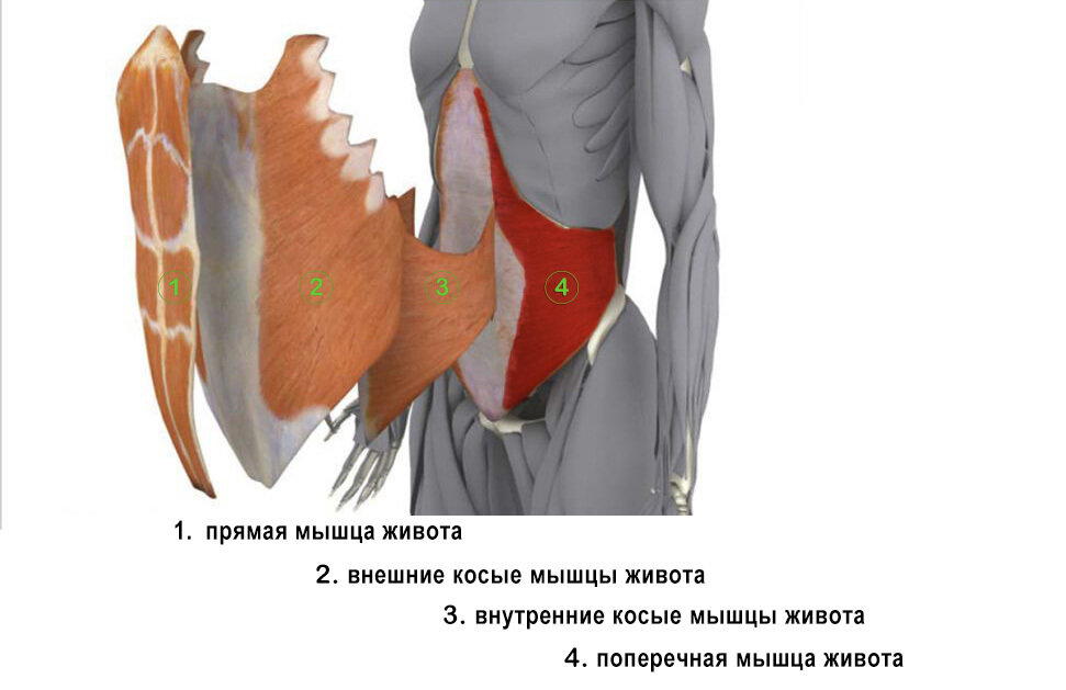 Вся правда про упражнение «вакуум»