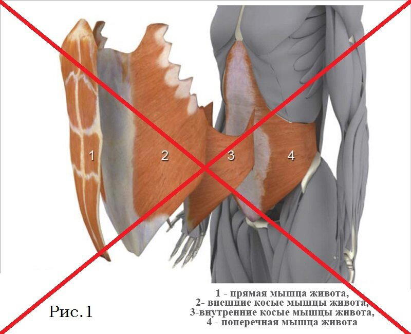 Как накачать «верхний» и «нижний» пресс