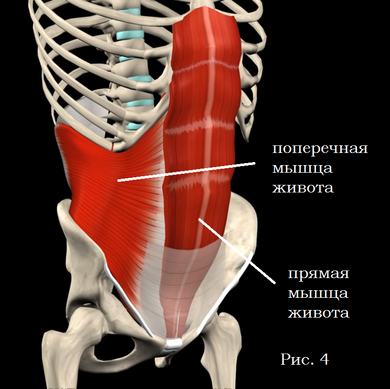 Как накачать «верхний» и «нижний» пресс