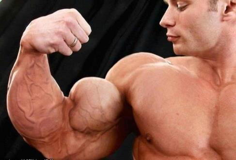 Как увеличить объем своих рук?