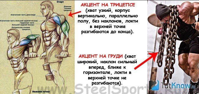 Как увеличить объем своих рук?