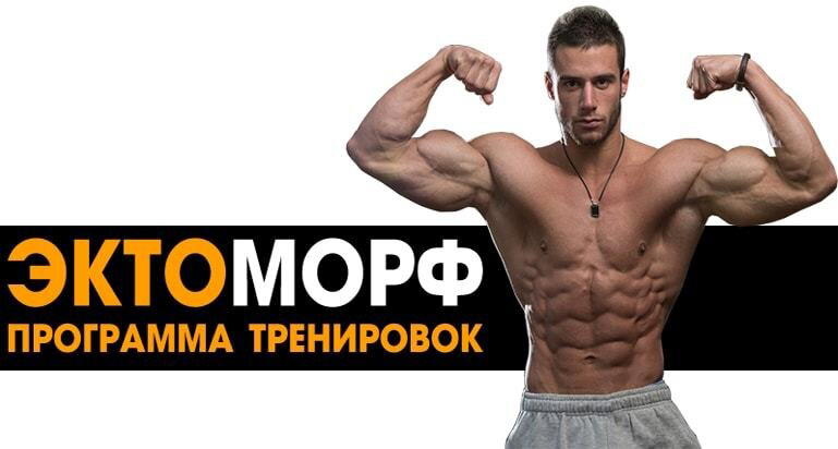 Тренировки и питание по типам телосложений