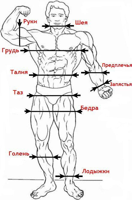 Пошаговая инструкция для тех, кто решил привести свое тело в порядок