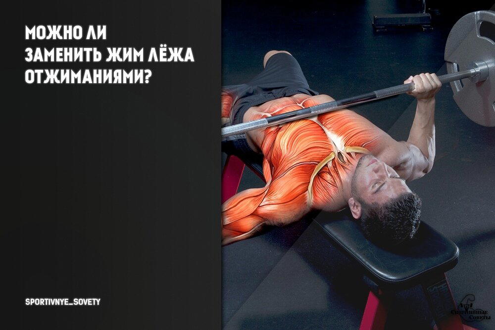 Можно ли заменить жим лёжа отжиманиями