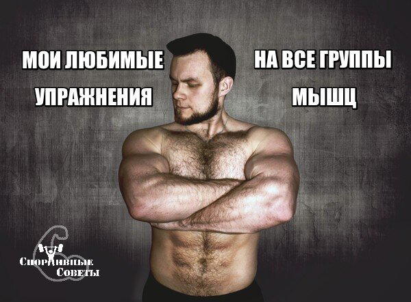 Мои любимые упражнения на все группы мышц
