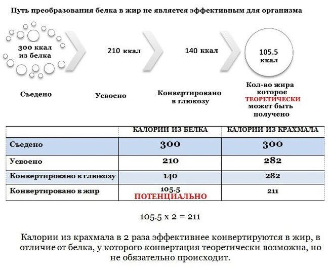 Можно ли растолстеть от переизбытка белка?
