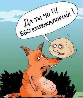 Мифы про похудение! (или "о, Боже, что же теперь делать?")
