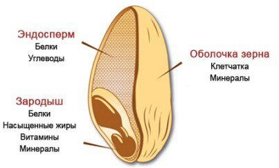 О цельнозерновых продуктах