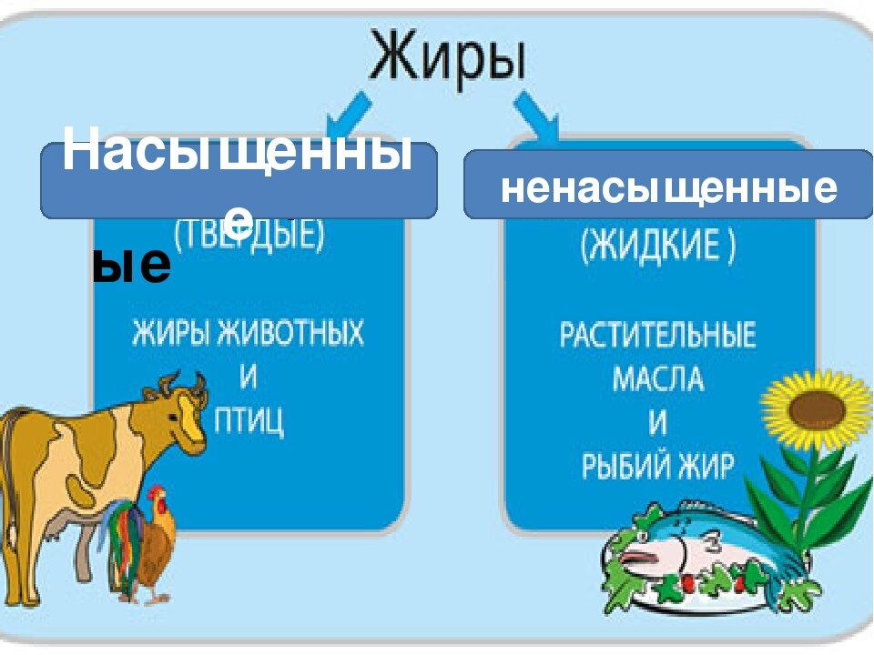 Мифы о пользе продуктов