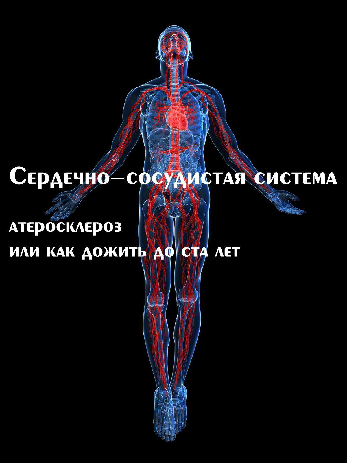 Сердечно-сосудистая система, атеросклероз, или как дожить до ста лет