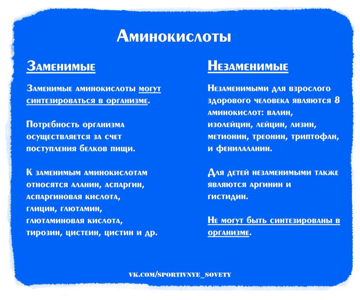 Сердечно-сосудистая система, атеросклероз, или как дожить до ста лет